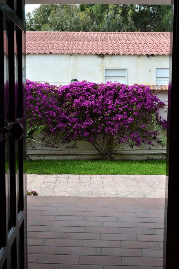 Casa Bedda Apartment Agnone Bagni Bagian luar foto